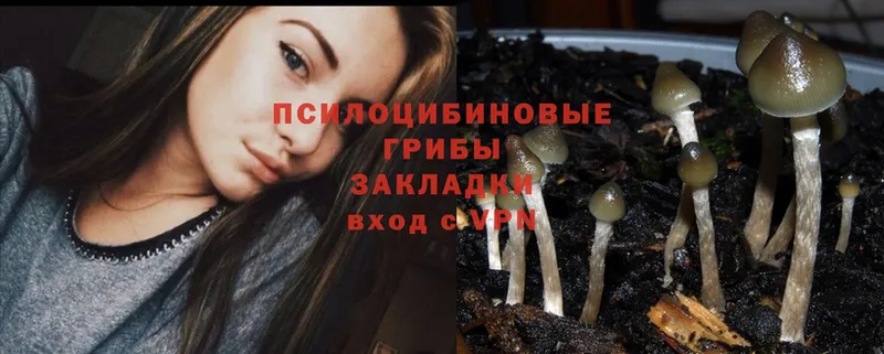 Псилоцибиновые грибы Psilocybine cubensis  наркота  Яранск 